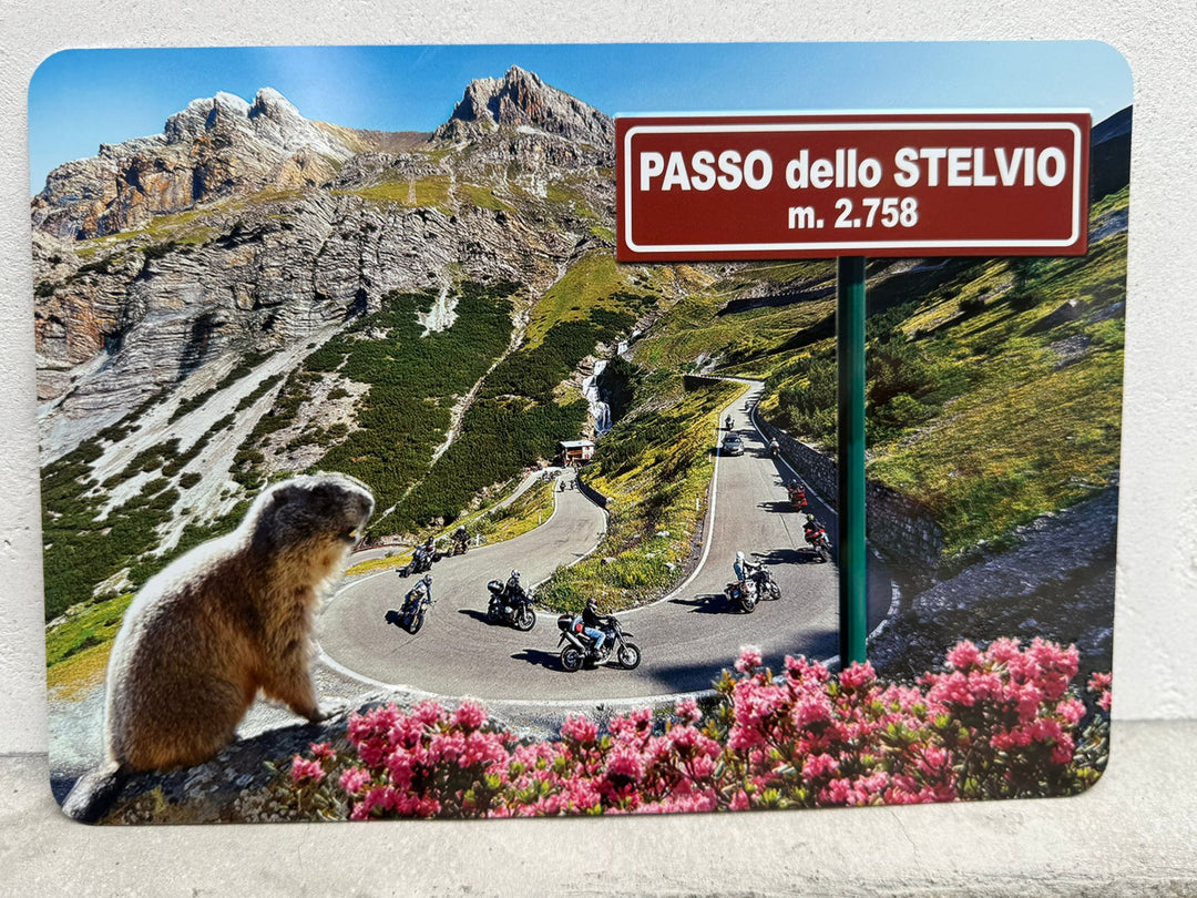 Targa in metallo Stelvio marmotta