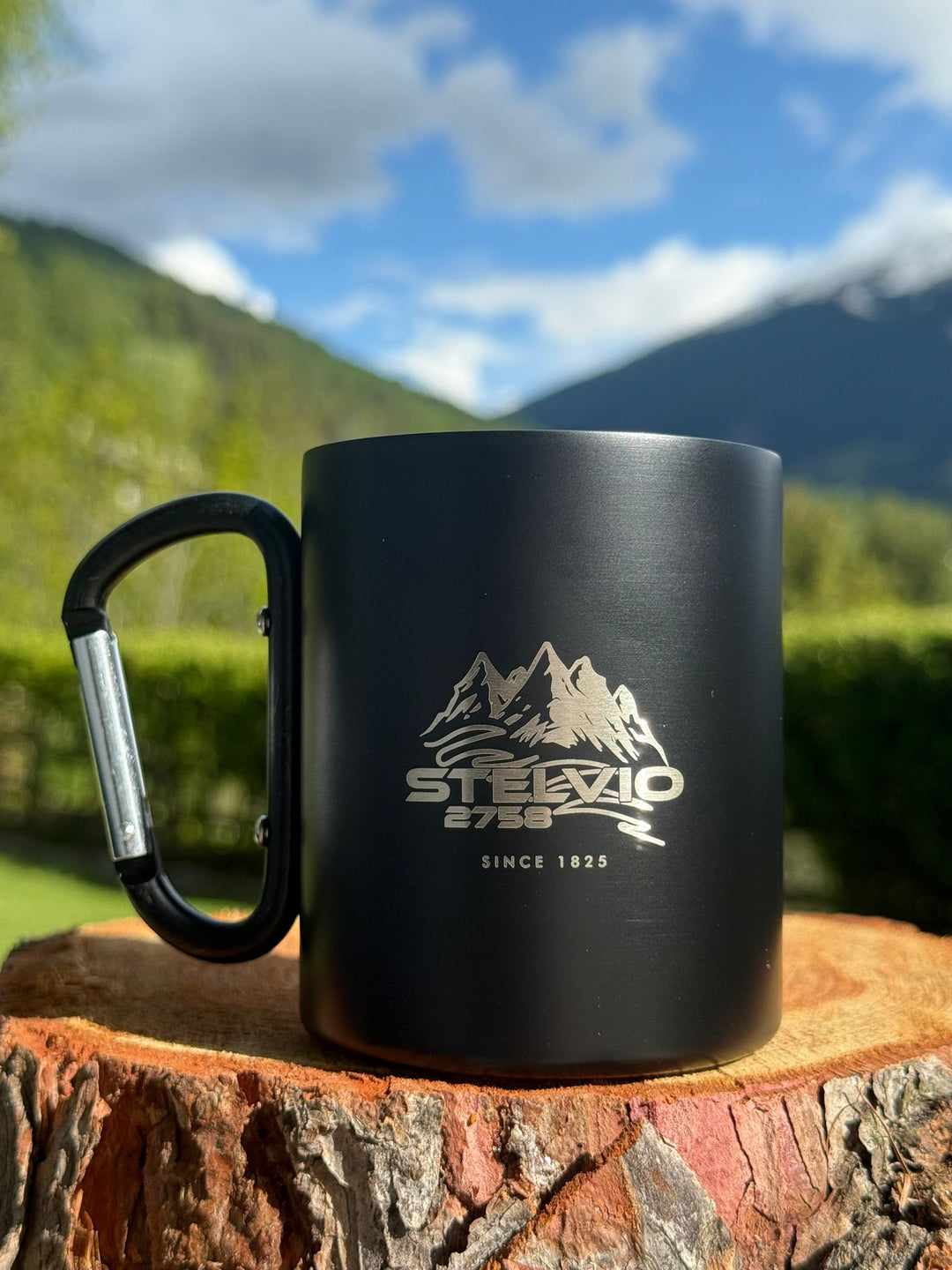 Stelvio road carabiner