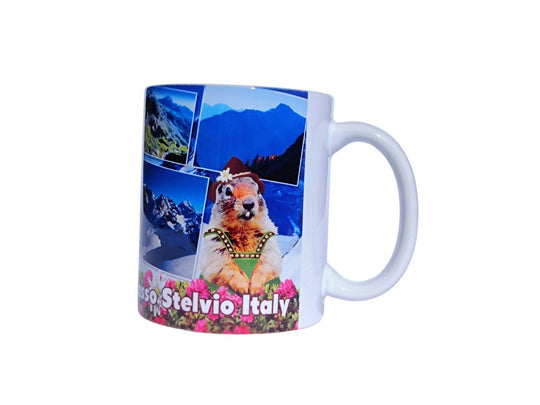 Stelvio 11 cup