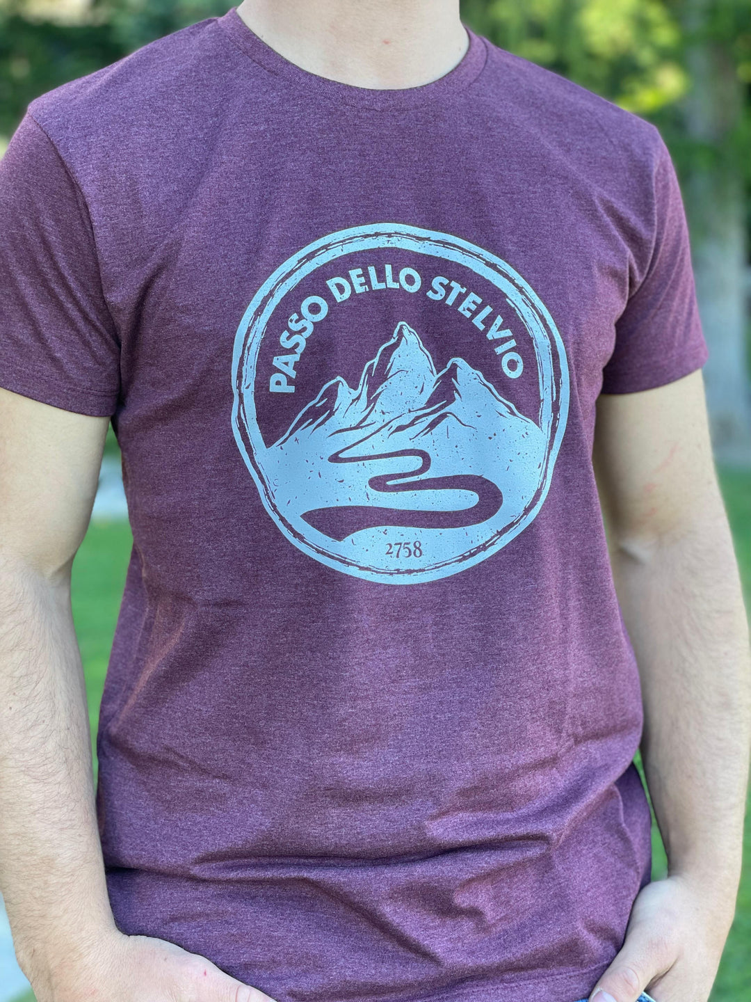 T-shirt Stelvio Bollo