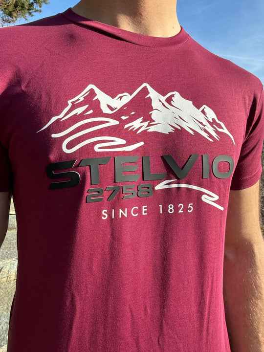 T-shirt Stelvio 200°
