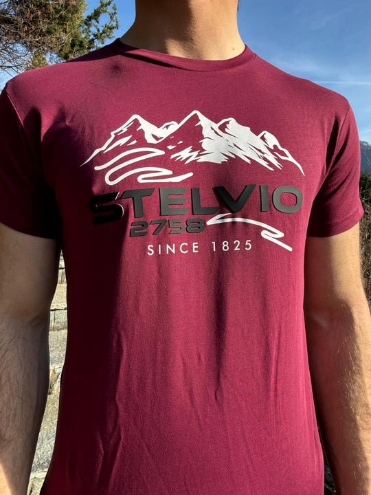 T-shirt Stelvio 200°