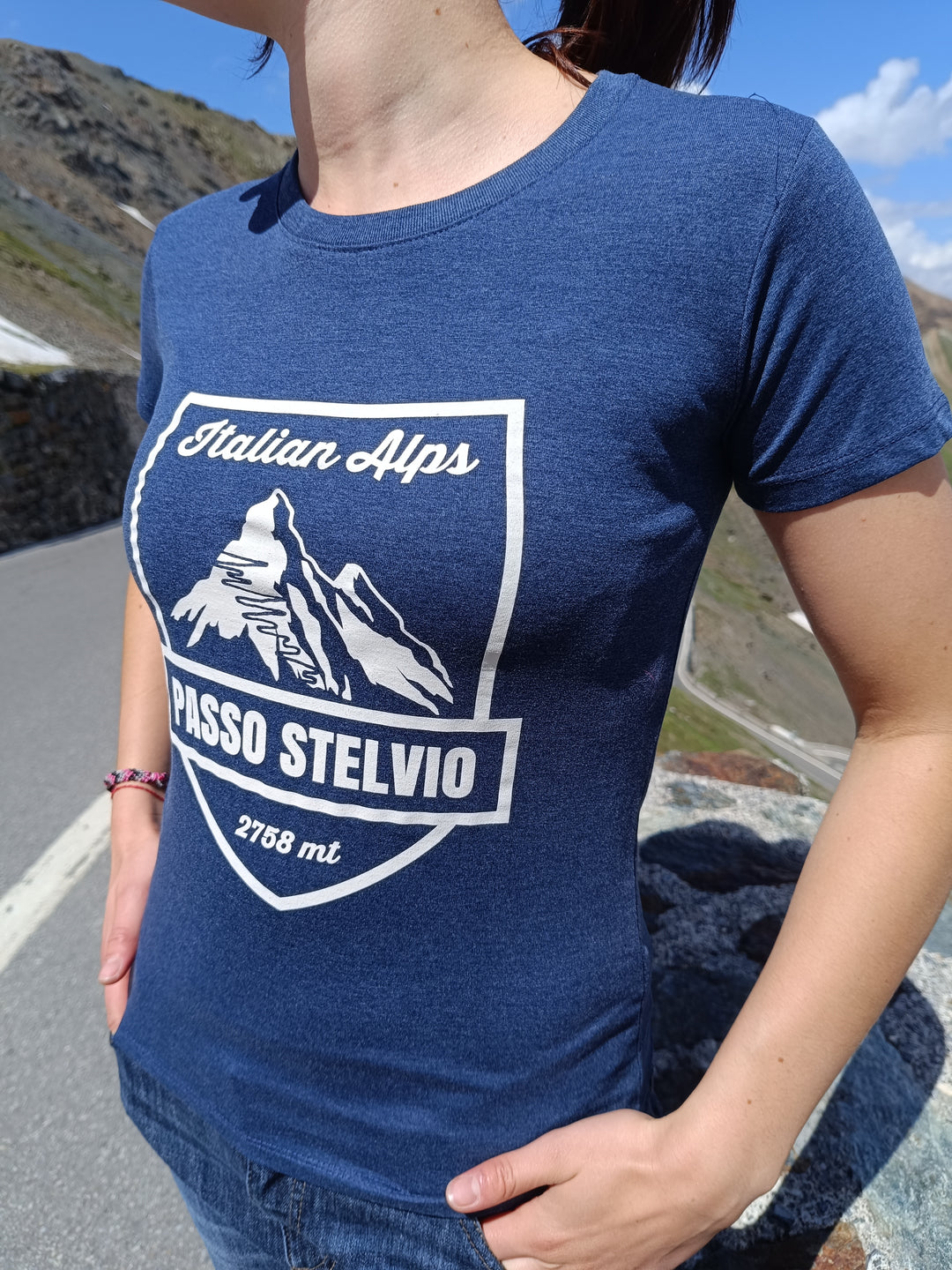 Stelvio Italian Alps 2 t-shirt