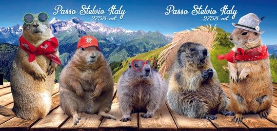 Stelvio marmot mug