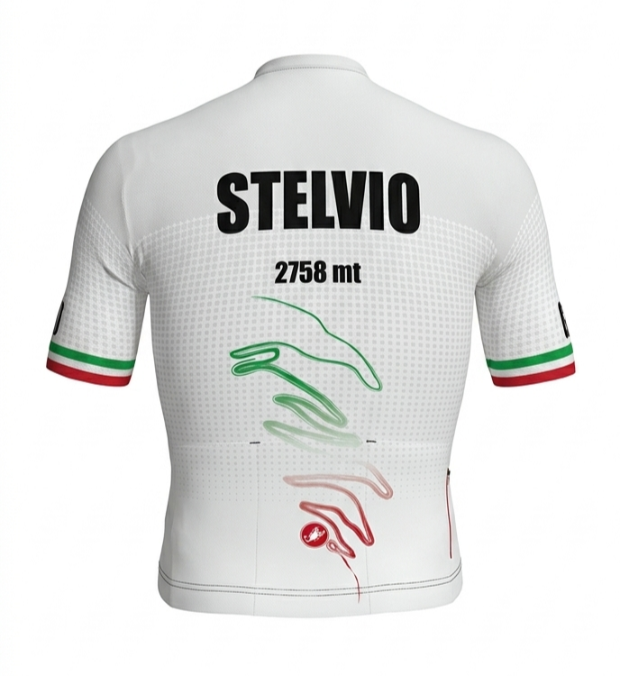 Stelvio Castelli