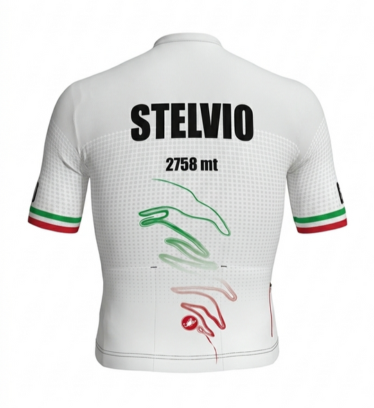 Stelvio Castelli