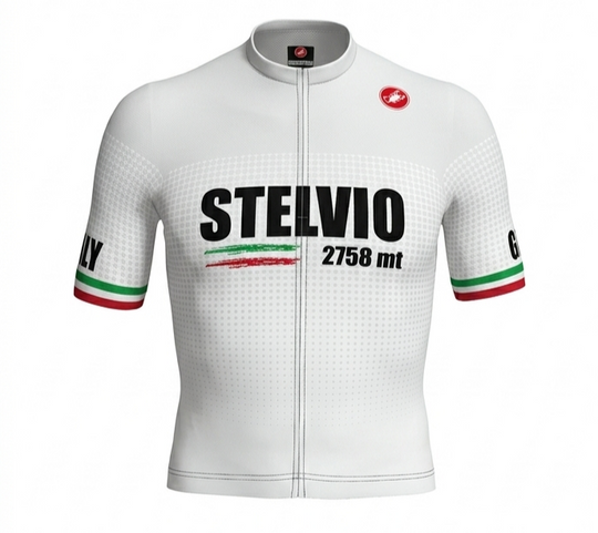Stelvio Castelli